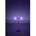 Детский самокат Mini Micro Deluxe Magic LED
