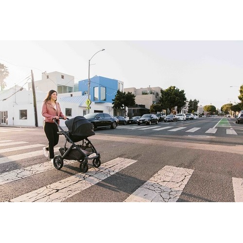 Детская коляска UPPAbaby VISTA V2 2 в 1